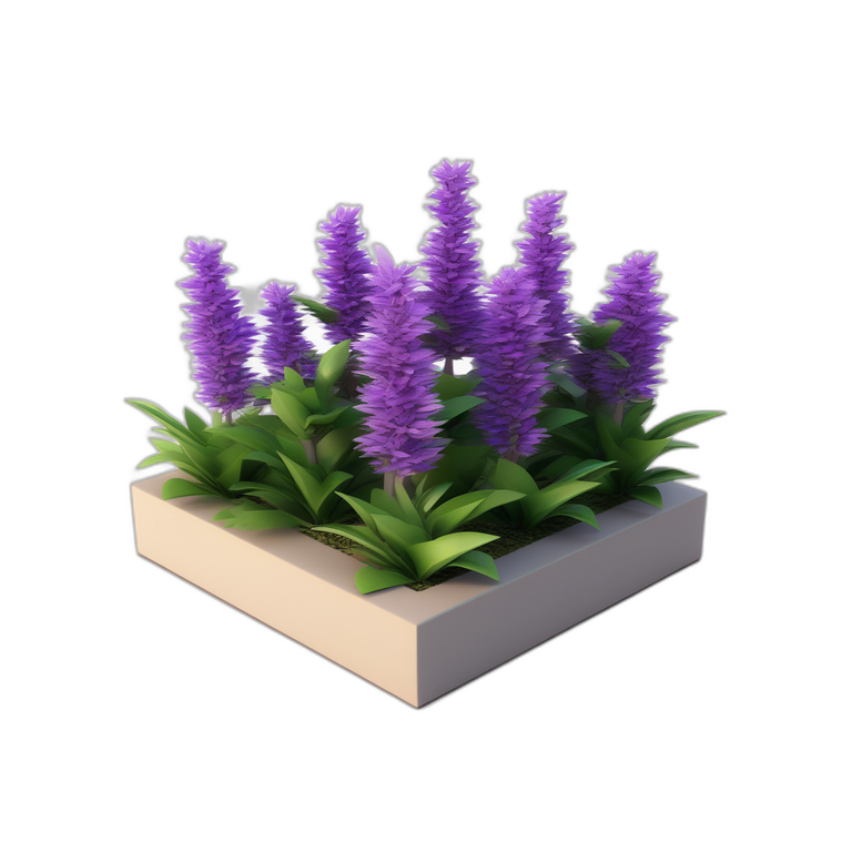 Lavender Bush